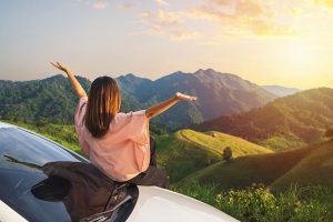 Umweltfreundliche Mobilität mit EcoFleet
